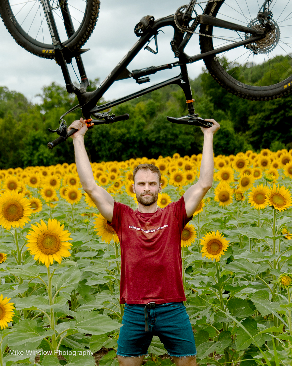 Man in sunflowers with bike