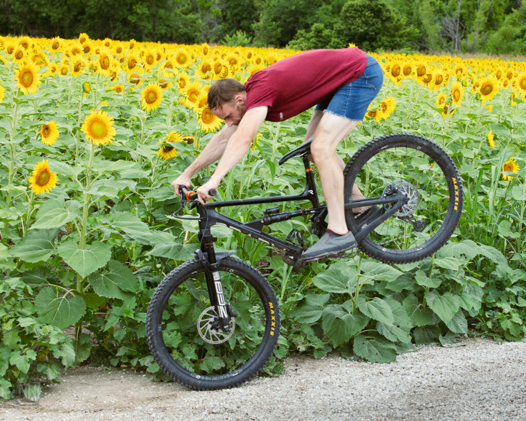 man, bike, sunflowers